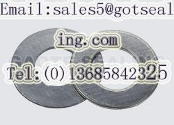 Kammprofile Gasket 