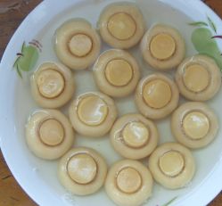 Canned Mushroom  800g