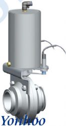 Ball Valve, Diaphragm Valve, Butterfly Valve