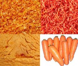 Dehydrated Carrot Slice/granules/powder