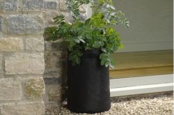 Tomato   Pepper   Planter   Garden Product 