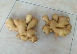 Air Dried Ginger,dried Ginger