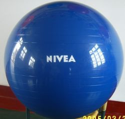 Shiny Gym Ball 