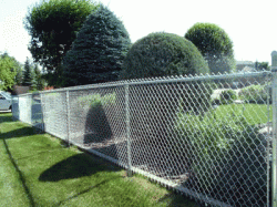 Chain Link Fence 