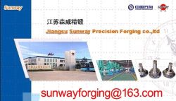 Jiangsu Sunway Precision Forging Co,.ltd 