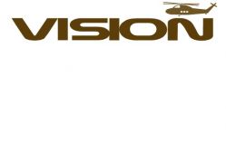 Vision Electronic Toys Co., Ltd