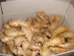 Fresh Ginger And Air-dried Ginger