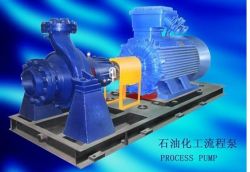 Scp Series Process Pump