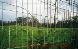 Holland Mesh Fence