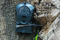 Trail Game Camera