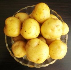 Fresh Potato 2010