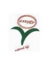 Cao County Shengya Arts And Crafts Co.,ltd 