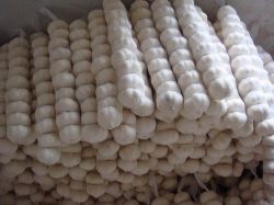 Shandong Pure White Garlic