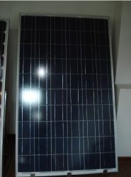 Competitive Solar Panel China Supplier 