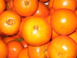 Navel Orange 
