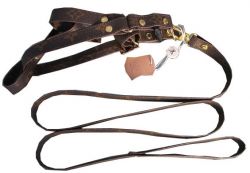 Lovely Dog Leash And Collar Set