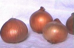 Chinese Fresh Onion(red Onion, Yellow Onion) -