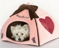 Lovely And Comfortable Dog House