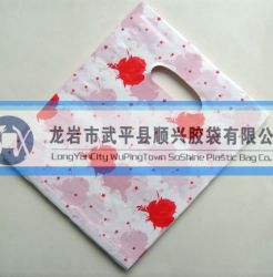 Wuping Plastic Bag   Co .ltd