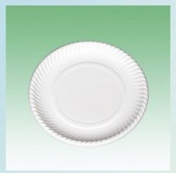 Biodegradable Plate 