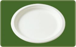 Bagasses Disposable Tableware