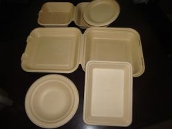 Biodegradable Tableware(tray,cap,bowl,plate,box)