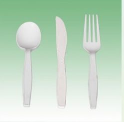 Disposable Biodegradable Cutlery