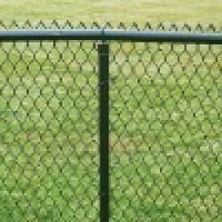 Wire Mesh Fence