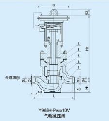 Power Station Pressure Reducing Valve