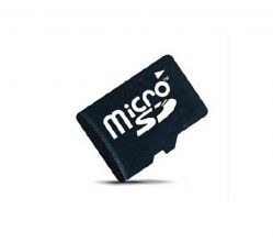 Micro Sd Card
