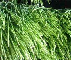 Green Fresh Garlic Stem