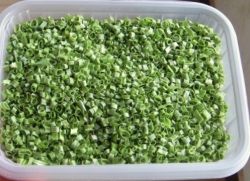 Gmp Supply 100% Natural Freeze Dried Chive
