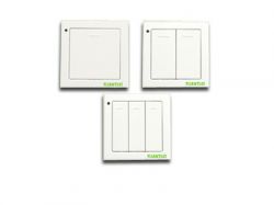 Wall Switch Series