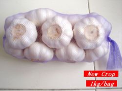 Garlic Price In China( Jinxiang New Crop)