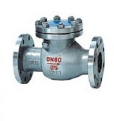 Swing Check Valve