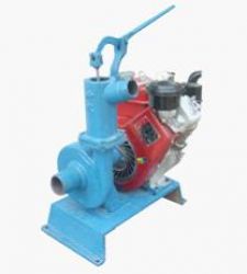  Diesel Engine Water Pump Pumps (3.8 Hp)