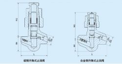 Power Station Check Valve