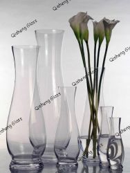 Home Decoration Glass Vase