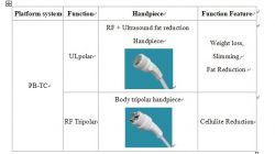 Pb-tc Slimming System Model: Pb-tc
