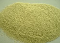 Freeze Dried Kiwi Powder