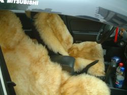 Sheepskin Car Seat Cover