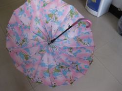 Umbrella, Lady Umbrella, Stick Umbrella