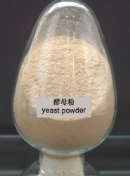Yeast Pwoder50%