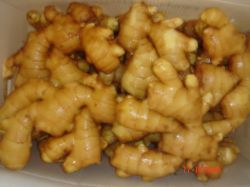 Supply Fresh Ginger Can Export To Usa Market 