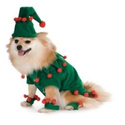 Christmas Pet Clothes ,pet Celebrate Clothing