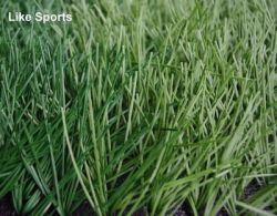 Football Grass (lsm50-s-j)