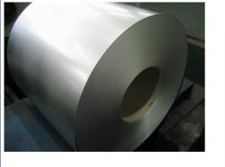 Steel Coil 