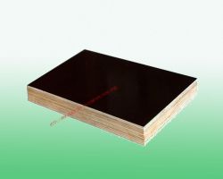 Film Faced Plywood/shuttering Plywood