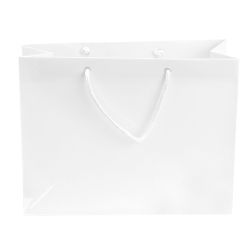 Promotional Paper Tote Bag 
