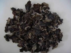 Black Fungus Extract